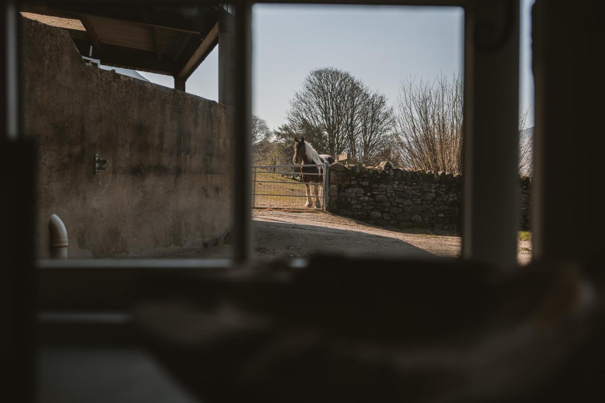 Bed and Breakfast Highside Farm Bassenthwaite Esterno foto